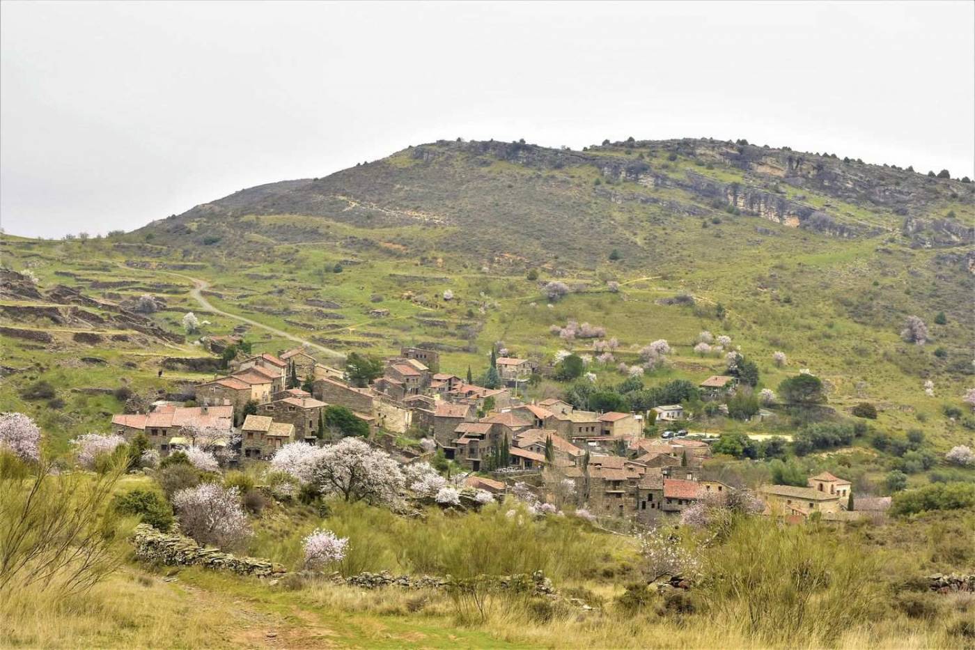 domfront_en_poiraie_village_pres_de_la_baie_du_mont_saint_michel_visite_tourisme_manche